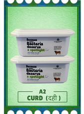 A2 Curd